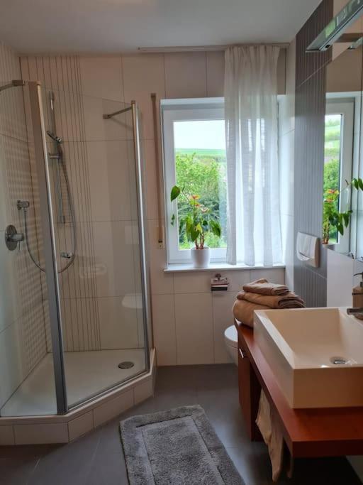 Ferienwohnung Panoramablick Bad Mergentheim Extérieur photo
